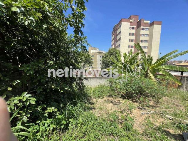 Terreno venda em Região Geográfica Imediata de Belo Horizonte, Região Metropolitana de Belo Horizonte