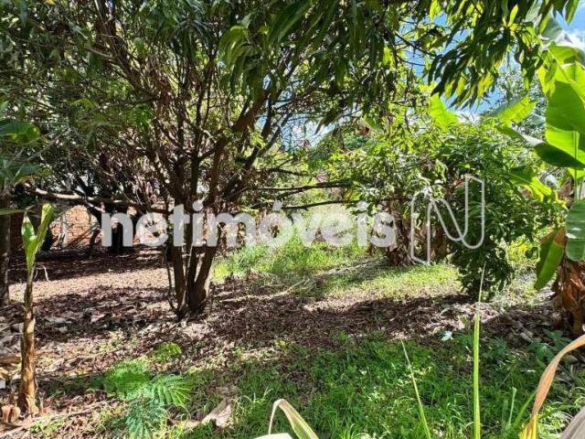 Terreno venda em Região Geográfica Imediata de Belo Horizonte, Região Metropolitana de Belo Horizonte