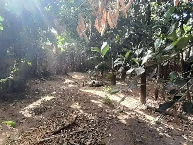 Terreno venda em Vila Várzea da Palma, Belo Horizonte