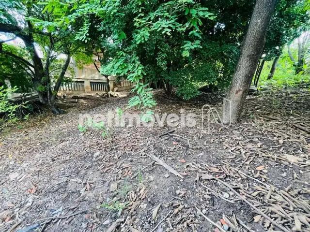 Terreno venda em Região Geográfica Imediata de Belo Horizonte, Região Metropolitana de Belo Horizonte