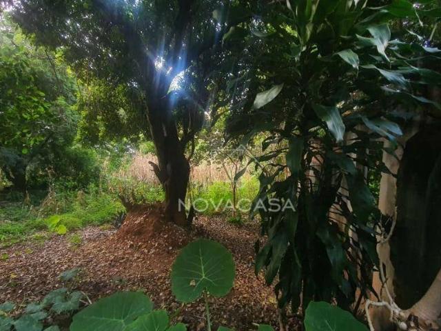 Terreno venda em Parque São Pedro, Belo Horizonte