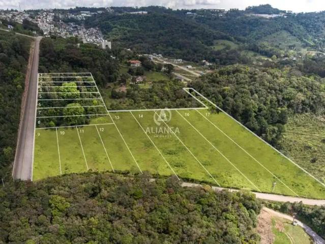 Terreno venda em Região Geográfica Imediata de Bento Gonçalves, Bento Gonçalves