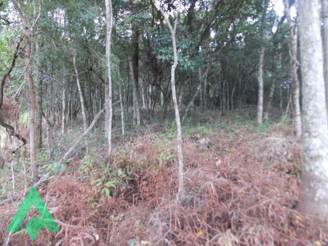 Terreno venda em Região Geográfica Imediata de Blumenau, Blumenau
