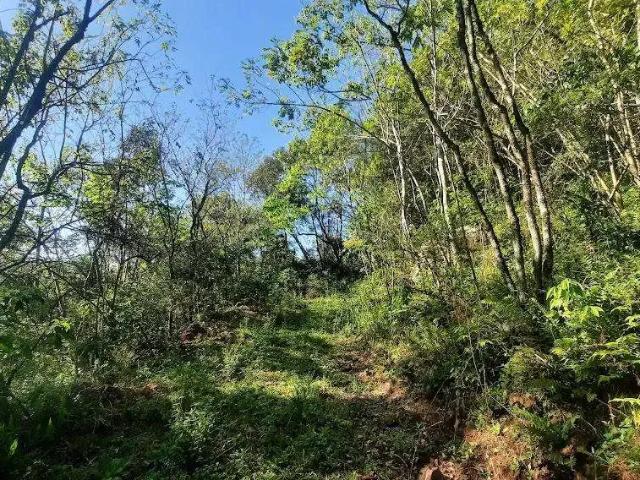 Terreno venda em Região Geográfica Imediata de Bento Gonçalves, Boa Vista do Sul