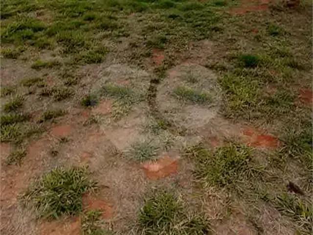 Terreno venda em Região Imediata de Bragança Paulista, Bom Jesus dos Perdões