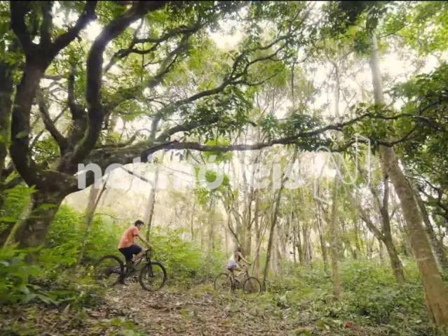 Terreno venda em Região Geográfica Imediata de Belo Horizonte, Região Metropolitana de Belo Horizonte