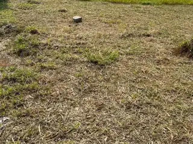 Terreno venda em Caçapava