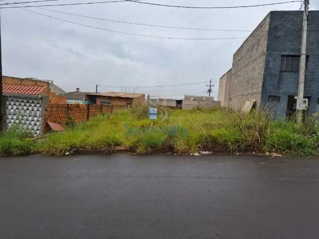 Terreno venda em Conjunto Habitacional Ulysses Guimarães, Cambé
