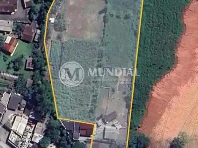 Terreno venda em Região Geográfica Imediata de Itajaí, Camboriú