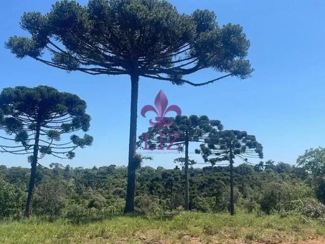 Terreno venda em Região Geográfica Imediata de Curitiba, Região Metropolitana de Curitiba