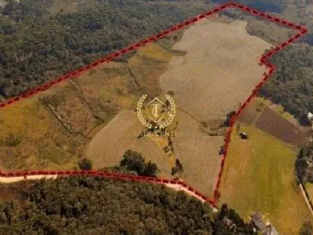 Terreno venda em Região Geográfica Imediata de Curitiba, Região Metropolitana de Curitiba