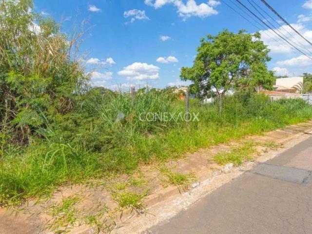 Terreno venda em Bairro das Palmeiras, Campinas