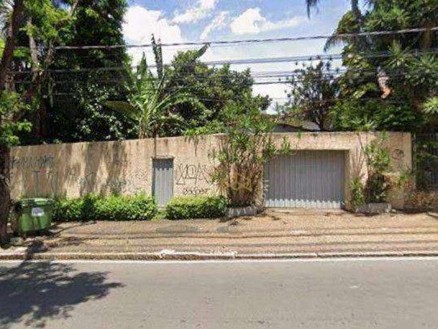 Terreno venda em Vila Itapura, Campinas