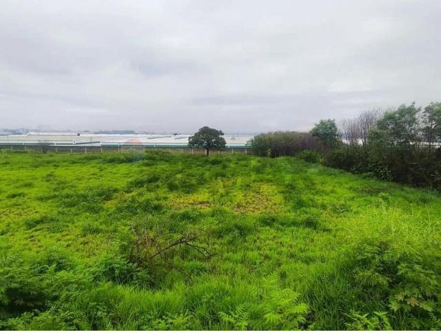 Terreno venda em Região Imediata de Campinas, Região Metropolitana de Campinas