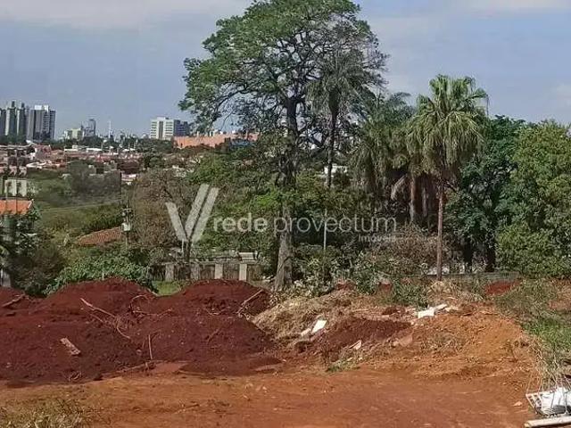 Terreno venda em Campinas