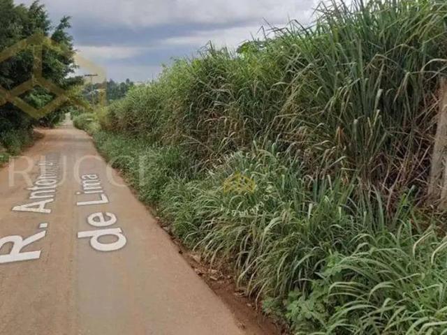 Terreno venda em Região Imediata de Campinas, Região Metropolitana de Campinas