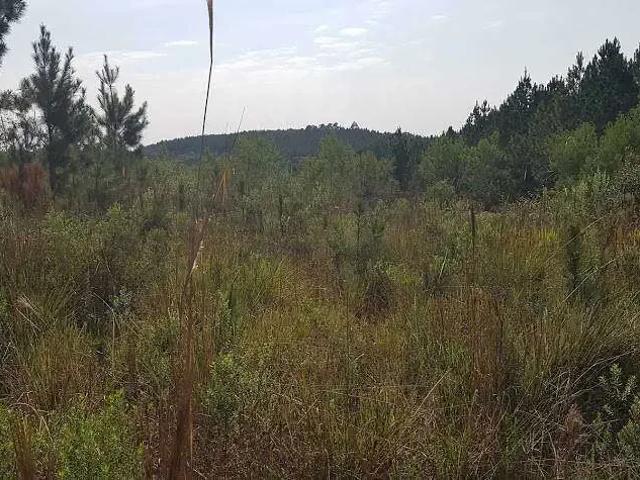 Terreno venda em Região Geográfica Imediata de Curitiba, Região Metropolitana de Curitiba