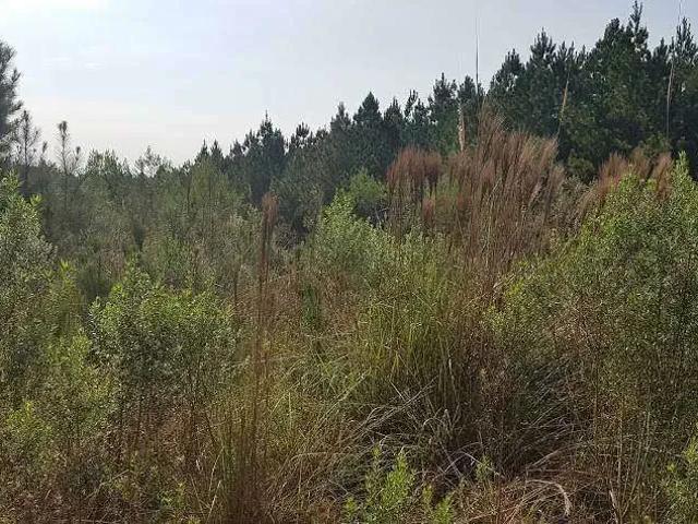 Terreno venda em Região Geográfica Imediata de Curitiba, Região Metropolitana de Curitiba