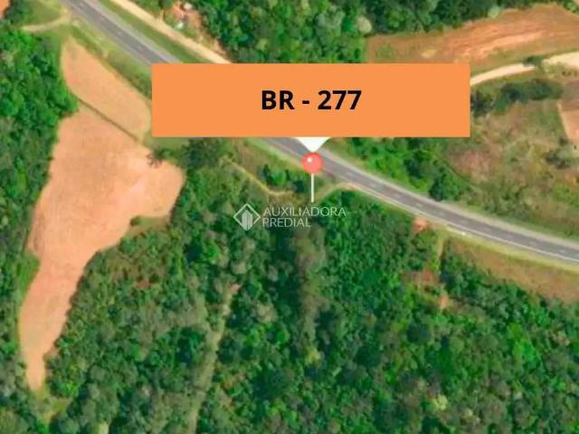 Terreno venda em Região Geográfica Imediata de Curitiba, Região Metropolitana de Curitiba