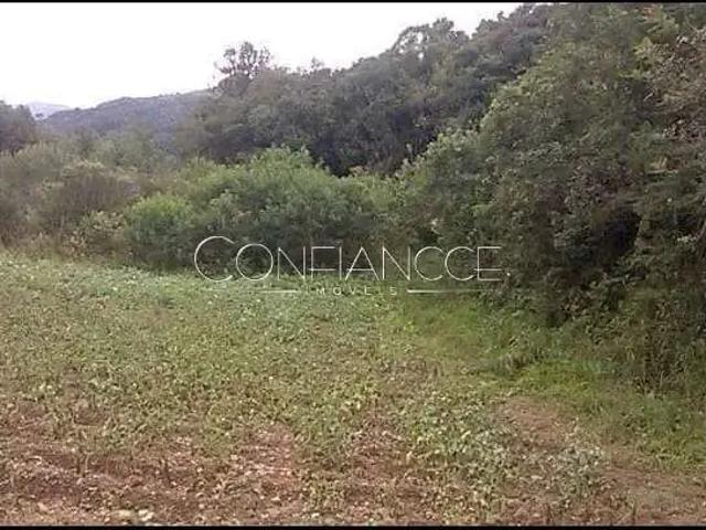 Terreno venda em Região Geográfica Imediata de Curitiba, Região Metropolitana de Curitiba