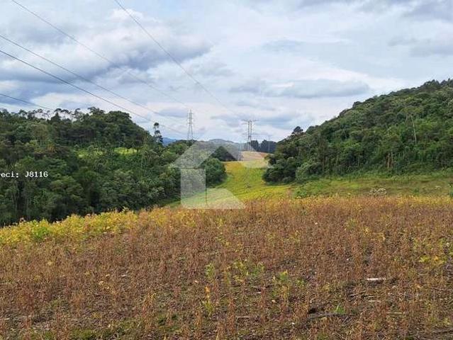 Terreno venda em Campo de Santo Antônio, Campo Magro