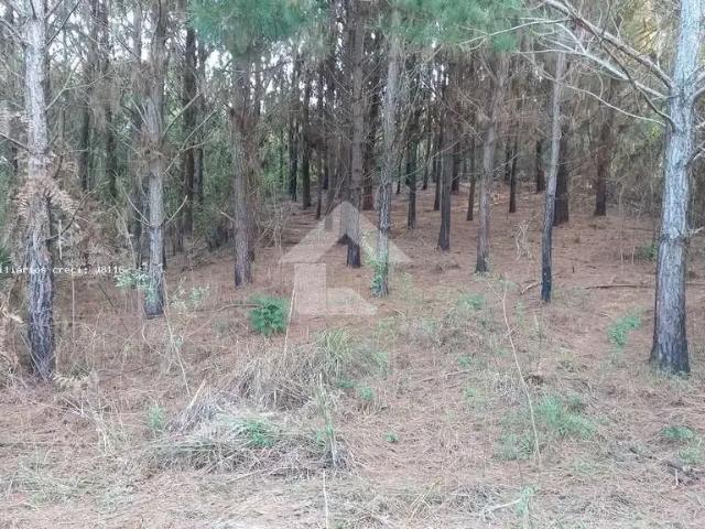 Terreno venda em Região Geográfica Imediata de Curitiba, Região Metropolitana de Curitiba