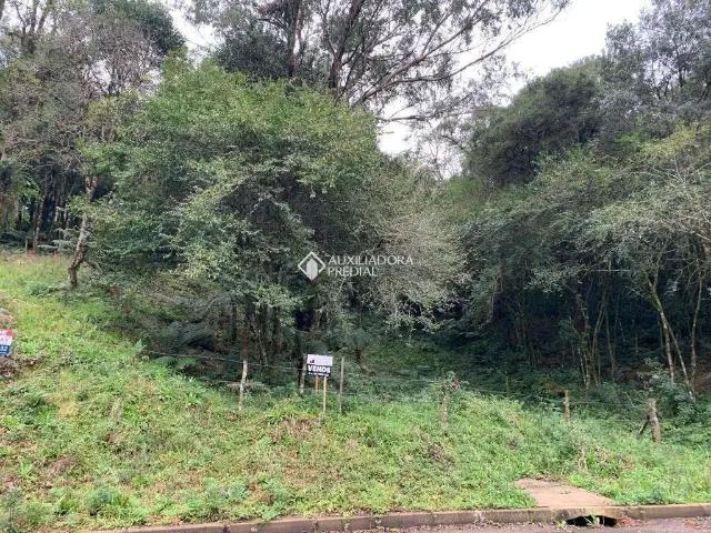 Terreno venda em Região Geográfica Imediata de Caxias do Sul, Canela