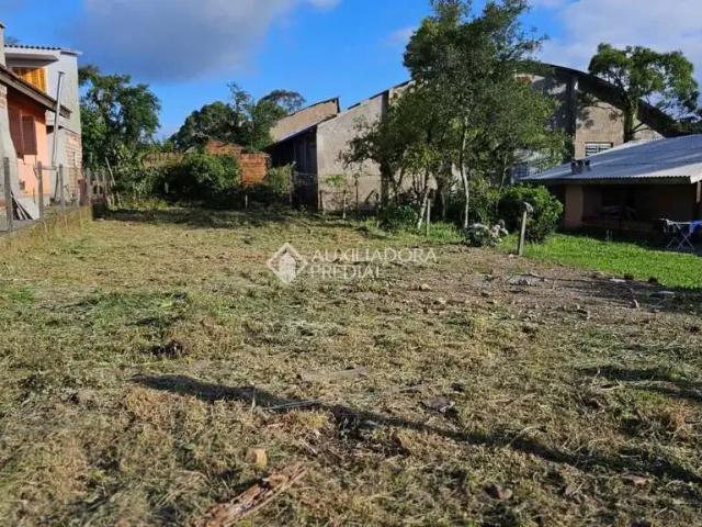 Terreno venda em Quinta da Serra, Canela
