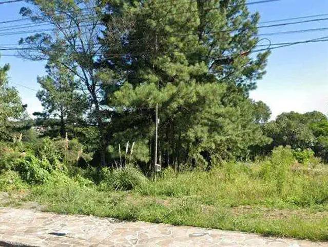 Terreno venda em Região Geográfica Imediata de Caxias do Sul, Canela