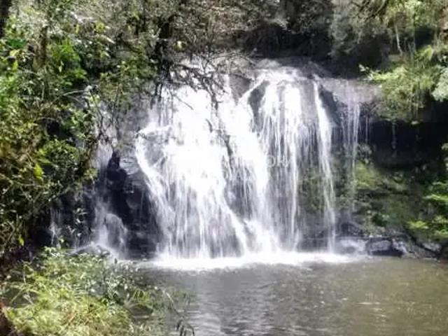 Terreno venda em Região Geográfica Imediata de Caxias do Sul, Canela