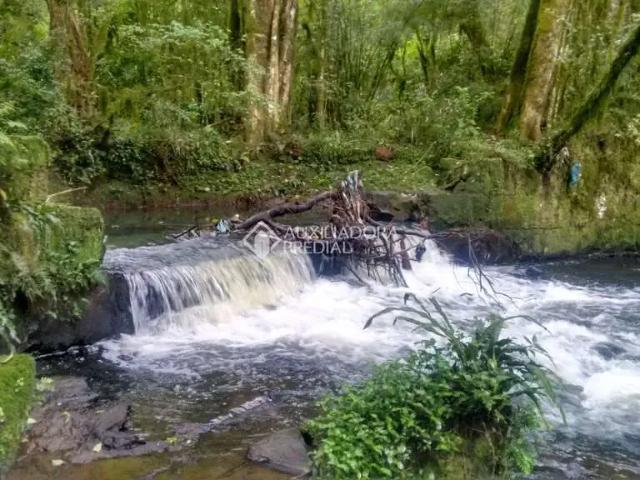 Terreno venda em Canela