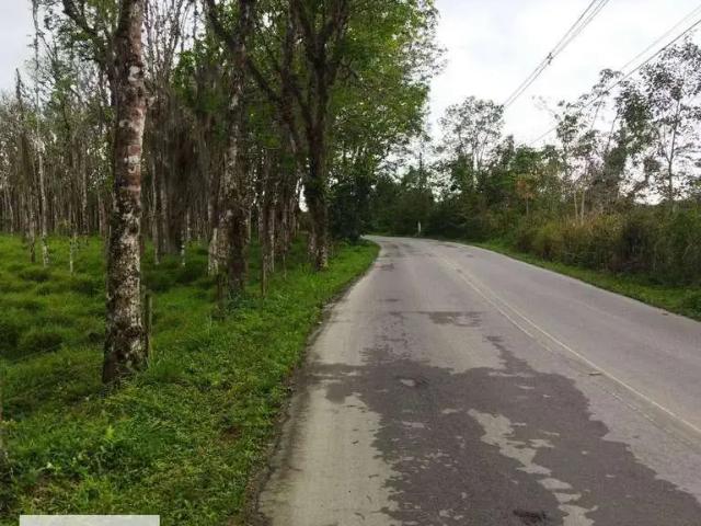Terreno venda em Loteamento Residencial Nova Caraguá II Maria Julieta Cabral, Caraguatatuba
