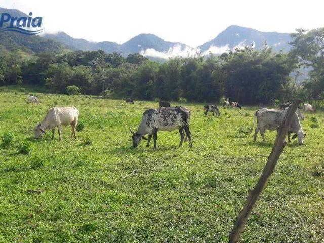 Terreno venda em Região Imediata de Caraguatatuba-Ubatuba-São Sebastião, Região Metropolitana do Vale do Paraíba e Litoral Norte