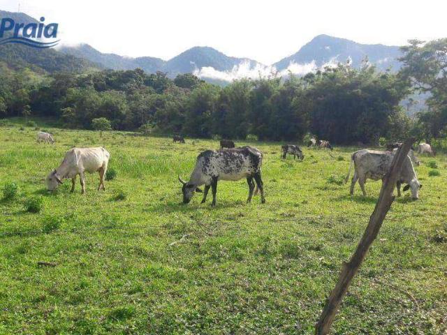 Terreno venda em Jaraguá, São Sebastião