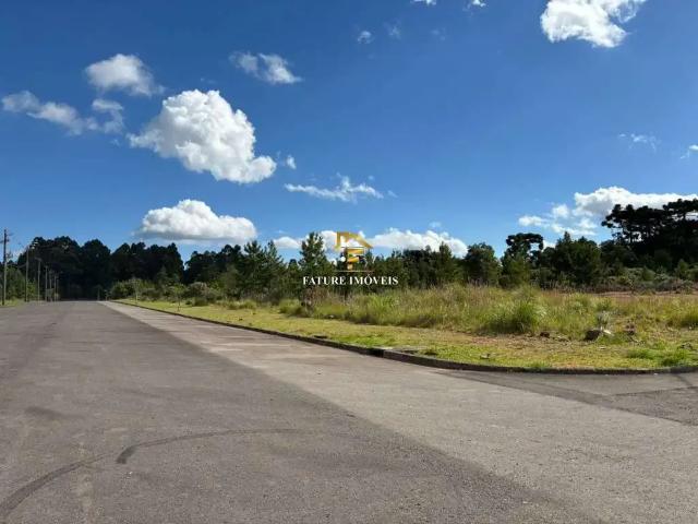 Terreno venda em Região Geográfica Imediata de Caxias do Sul, Caxias do Sul