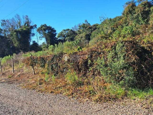 Terreno venda em Região Geográfica Imediata de Caxias do Sul, Caxias do Sul