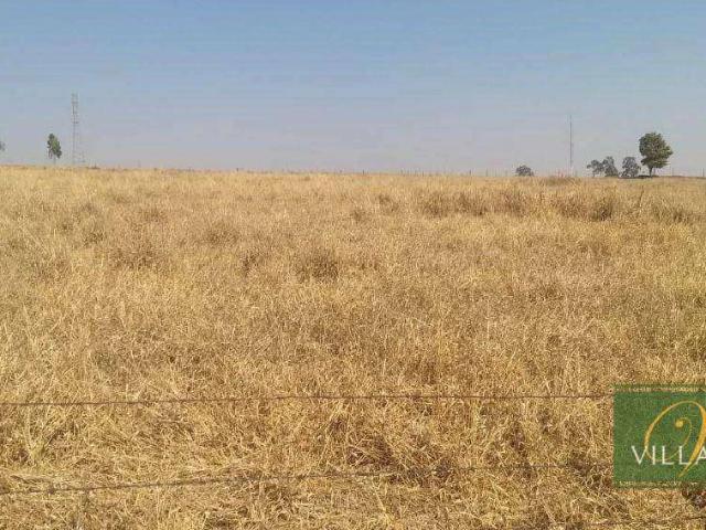 Terreno venda em Cedral