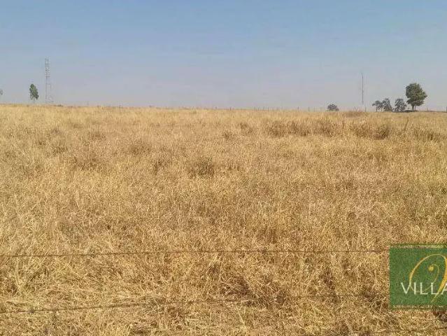 Terreno venda em Região Imediata de São José do Rio Preto, Região Metropolitana de São José do Rio Preto