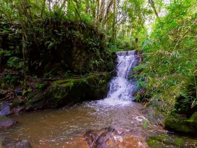 Terreno venda em Região Geográfica Imediata de Curitiba, Região Metropolitana de Curitiba