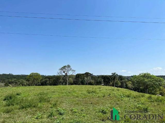 Terreno venda em Região Geográfica Imediata de Curitiba, Região Metropolitana de Curitiba