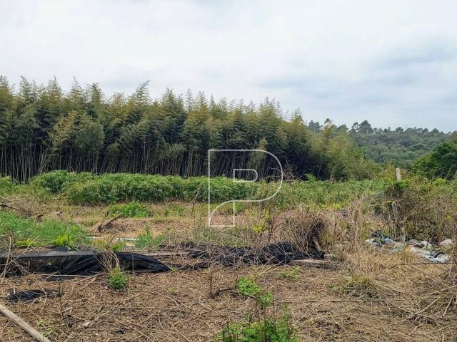Terreno venda em Caucaia do Alto, Cotia