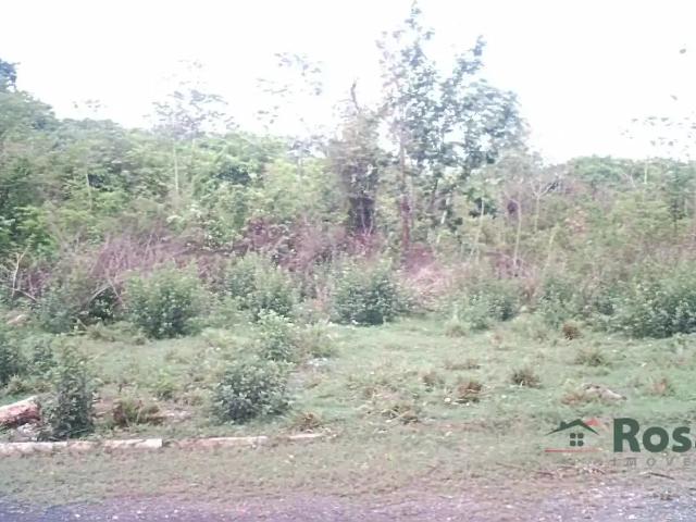 Terreno venda em Região Geográfica Imediata de Cuiabá, Região Metropolitana do Vale do Rio Cuiabá
