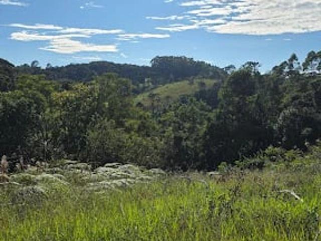 Terreno venda em Cunha