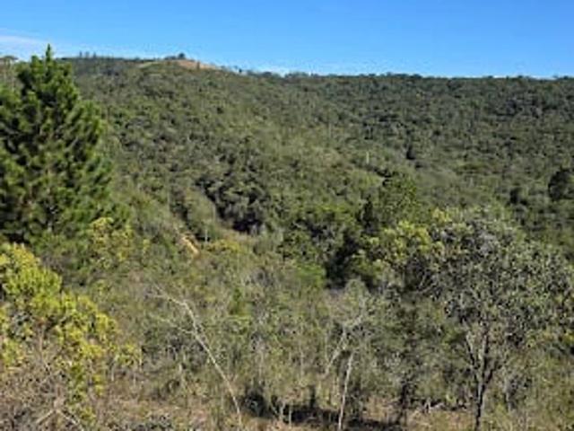 Terreno venda em Cunha