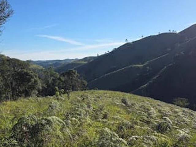 Terreno venda em Cunha