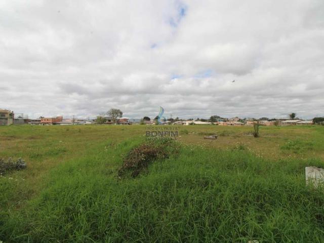 Terreno venda em Uberaba, Curitiba