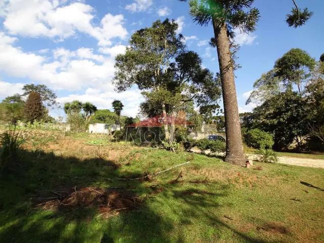Terreno venda em Região Geográfica Imediata de Curitiba, Região Metropolitana de Curitiba