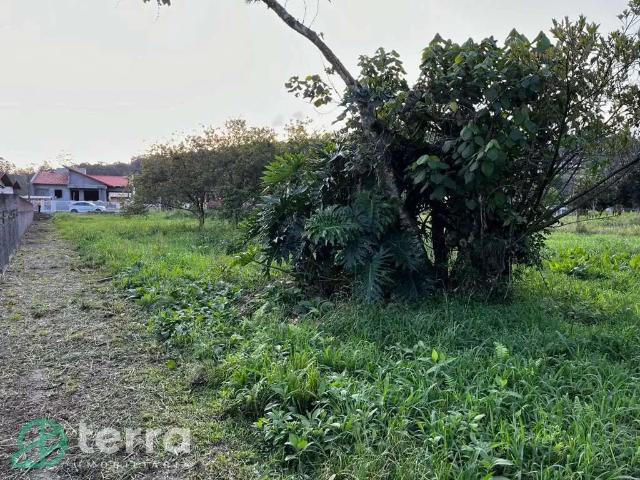 Terreno venda em Região Geográfica Imediata de Blumenau, Doutor Pedrinho