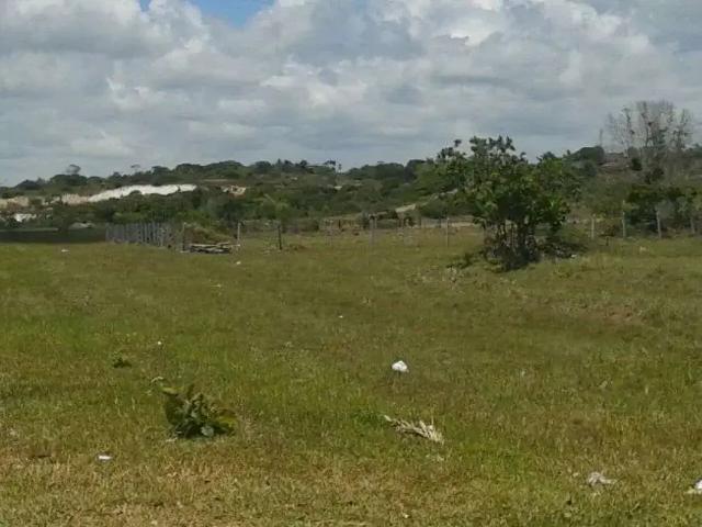 Terreno venda em Região Geográfica Imediata de Alagoinhas, Entre Rios