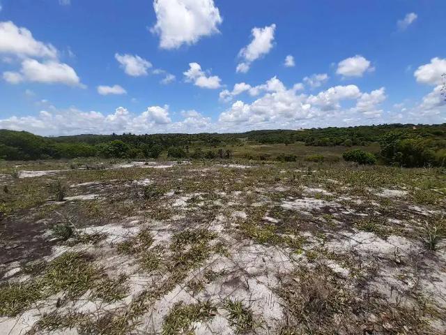 Terreno venda em Região Geográfica Imediata de Alagoinhas, Entre Rios